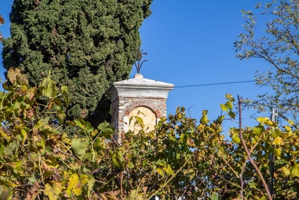 Degustazione Olio Extravergine del Garda: Tour Panoramico ed Esperienza Sensoriale 21 Degustazione Olio Extravergine del Garda: Tour Panoramico ed Esperienza Sensoriale 21